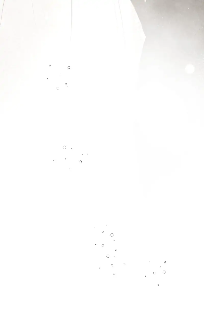 Page (29)
